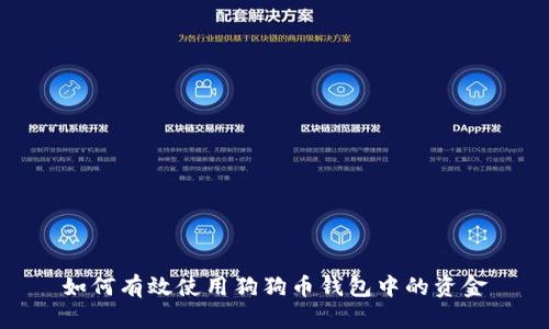 如何有效使用狗狗币钱包中的资金