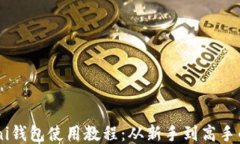 USDT Omni钱包使用教程：从新手到高手的全面指南