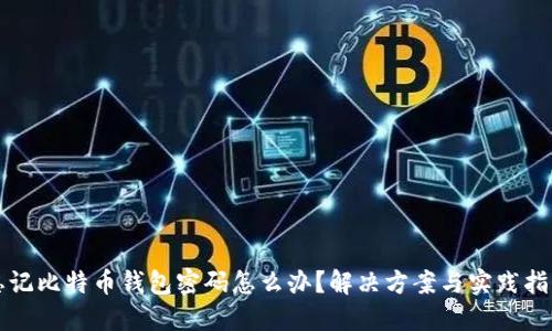 忘记比特币钱包密码怎么办？解决方案与实践指南