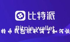  比特币钱包被取消了如何恢复？