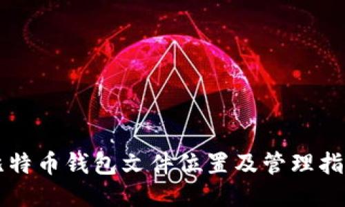 比特币钱包文件位置及管理指南