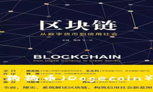 如何安全地将狗狗币（Dogecoin）存放到钱包中