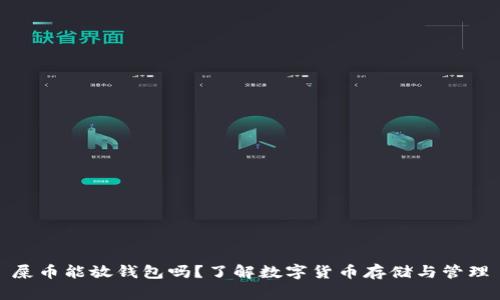 屎币能放钱包吗？了解数字货币存储与管理