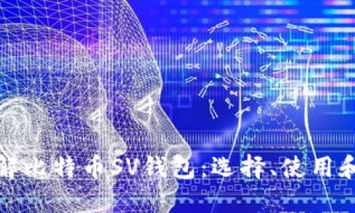 全面了解比特币SV钱包：选择、使用和安全性
