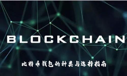 比特币钱包的种类与选择指南