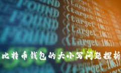 比特币钱包的大小写问题探析