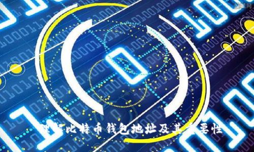  理解比特币钱包地址及其重要性