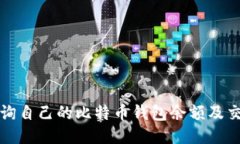 如何查询自己的比特币钱包余额及交易记录