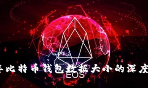 11年比特币钱包数据大小的深度解析