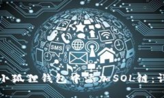 如何在小狐狸钱包中添加SOL链：详细指南