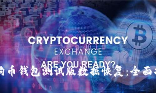 狗狗币钱包测试版数据恢复：全面指南