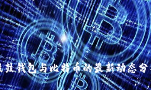 鼓鼓钱包与比特币的最新动态分析
