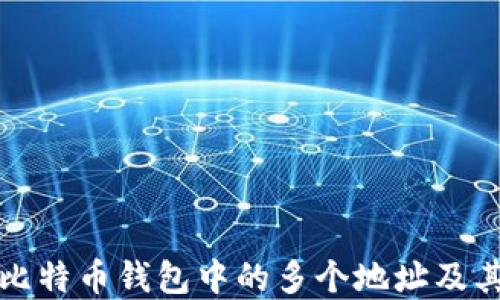 
如何理解比特币钱包中的多个地址及其管理技巧