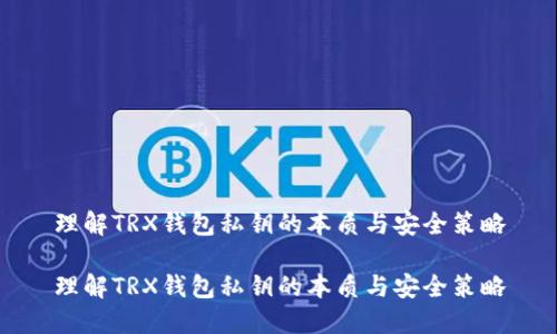 理解TRX钱包私钥的本质与安全策略

理解TRX钱包私钥的本质与安全策略