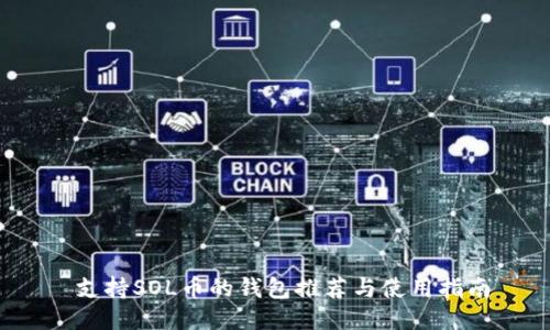  支持SOL币的钱包推荐与使用指南