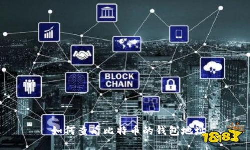  如何查看比特币的钱包地址