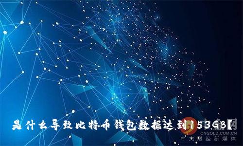 是什么导致比特币钱包数据达到153GB？