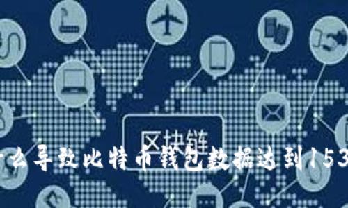 是什么导致比特币钱包数据达到153GB？