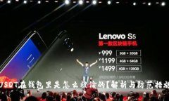 USDT在钱包里是怎么被偷的？解析与防范措施