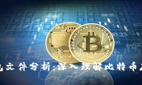 比特币钱包文件分析：深入理解比特币存储与安全