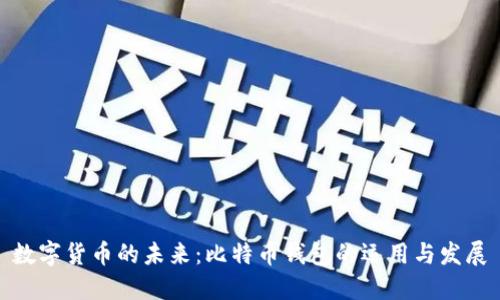 数字货币的未来：比特币钱包的运用与发展