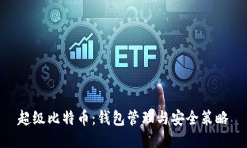 超级比特币：钱包管理与安全策略