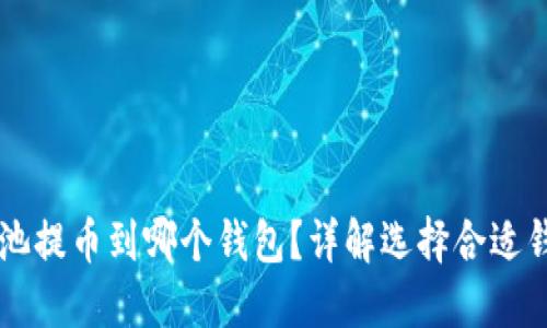 以太坊矿池提币到哪个钱包？详解选择合适钱包的指南
