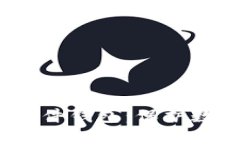 深入探索NEAR硬件钱包：保护数字资产的新纪元