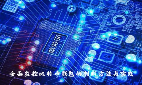 全面监控比特币钱包的创新方法与实践