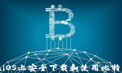
如何在iOS上安全下载和使用比特币钱包