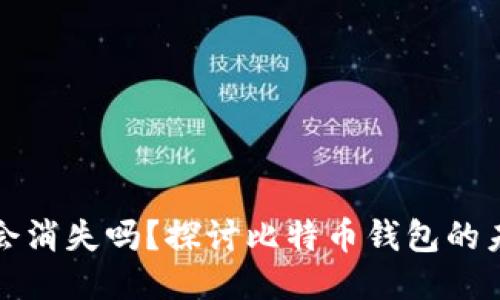 比特币钱包会消失吗？探讨比特币钱包的未来与安全性
