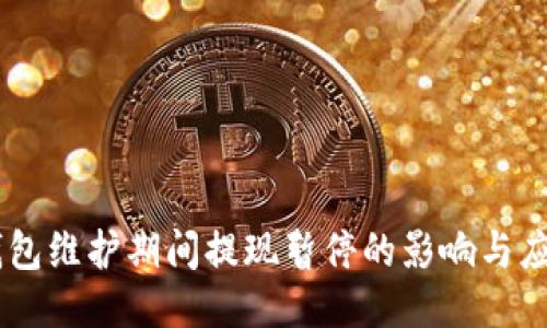 USDT钱包维护期间提现暂停的影响与应对策略