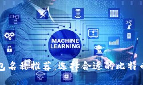 比特币钱包名称推荐：选择合适的比特币存储方案