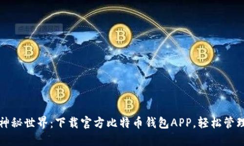 探索比特币的神秘世界：下载官方比特币钱包APP，轻松管理你的数字资产