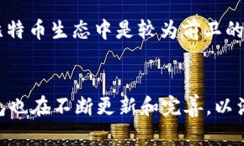 在2013年，比特币的热度逐渐上升，越来越多的人开始认识并投入这一新兴的数字货币。随着比特币的普及，各种比特币钱包也进入了大众视野。以下是一些在2013年比较流行的比特币钱包：

### 1. Blockchain.info 钱包
Blockchain.info是比特币最早、最知名的钱包之一。它提供了用户友好的界面和相对高的安全性。用户可以通过浏览器访问该钱包，无需下载任何软件。此外，Blockchain.info还允许用户生成多个钱包地址，并支持比特币以外的其他数字货币。

### 2. Coinbase
尽管Coinbase在2012年就成立了，但在2013年，它迅速获得了巨大的用户基础。Coinbase不仅是一个比特币钱包，还提供一个交易平台，让用户能够方便地购买、出售和存储比特币。其友好的界面和良好的安全性吸引了许多新用户。

### 3. Electrum
Electrum是一款轻量级的比特币钱包，因其速度和简洁而受到用户的喜爱。它的设计专注于高效和安全，为用户提供比特币交易和存储的便利。Electrum的私钥是由用户自己掌控的，这在当时尤其吸引那些注重隐私的用户。

### 4. Armory
Armory是一个功能强大的比特币钱包，主要面向那些具有一定技术背景的用户。它提供了先进的安全性，包括离线钱包和多重签名支持。尽管使用起来可能比较复杂，但对于注重安全性的用户来说，Armory是一个不错的选择。

### 5. Multibit
Multibit是一款轻量级的桌面比特币钱包，适合那些希望快速使用比特币的人。它不仅快速简洁，而且支持多种功能，例如离线交易和网络同步。这使得Multibit在当时赢得了许多用户的青睐。

### 6. BitPay
虽然主要是一个支付处理平台，BitPay也提供了比特币钱包服务。它旨在帮助商家接受比特币支付，并为用户提供一个易于使用的钱包，以便在日常交易中方便使用。

### 7. Mycelium
Mycelium是一款移动端比特币钱包，以安全性和隐私性著称。它在2013年逐渐流行，尤其是在那些常常在移动设备上进行比特币交易的用户中。Mycelium还提供了与本地商家的快速支付功能，让用户随时随地都能使用比特币。

### 8. Simple Bitcoin Wallet
Simple Bitcoin Wallet是一款简单易用的钱包，适合新手用户。它的界面直观，功能基本，主要用于日常交易，而不是复杂的投资活动。

### 9. Jaxx
Jaxx是一个多币种钱包，支持比特币以及其他许多数字货币。它的设计使得用户能够方便地在不同的货币之间进行交易，这在当时的比特币生态中是较为前卫的。

### 总结
在2013年，比特币钱包的选择虽然丰富，但用户在选择时仍需考虑安全性、使用方便性和个人需求。随着技术的发展，之后的比特币钱包也在不断更新和完善，以满足越来越多用户的需求。尽管这些钱包在当时各有优劣，但它们共同为比特币的广泛应用做出了贡献，推动了数字货币的普及和发展。