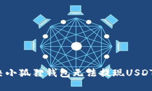 如何解决小狐狸钱包无法提现USDT的困扰？