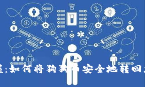 轻松掌握：如何将狗狗币安全地转回您的钱包