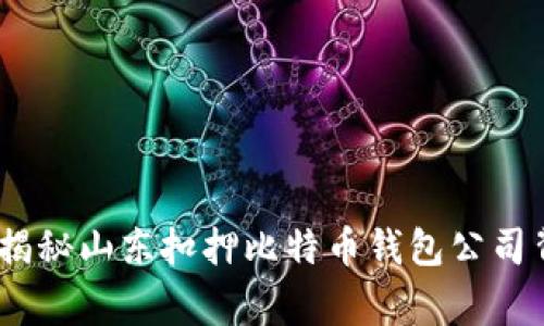 抓住机遇：揭秘山东扣押比特币钱包公司背后的故事