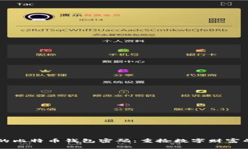 寻找失落的比特币钱包密码：重拾数字财富的最佳指南