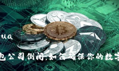 bihua/bihua

比特币钱包公司倒闭：如何确保你的数字资产安全