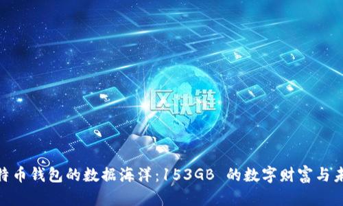 探索比特币钱包的数据海洋：153GB 的数字财富与未来机遇