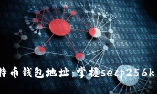 探索比特币钱包地址：掌握secp256k1的奥秘