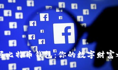 掌握比特币钱包：你的数字财富之钥