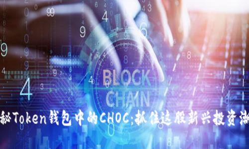 揭秘Token钱包中的CHOC：抓住这股新兴投资潮流