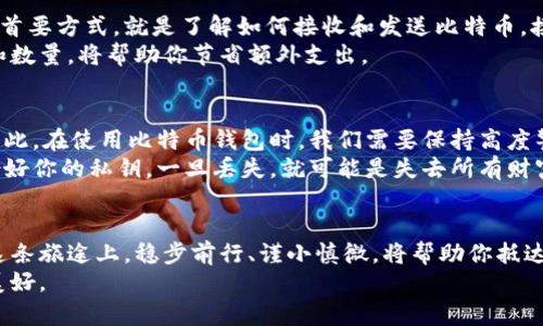   探索比特币财富之路：如何安全下载和使用比特币钱包 / 
 guanjianci 比特币, 钱包, 下载 /guanjianci 

比特币的魅力：开启数字财富的大门
在清晨的阳光透过窗帘洒入房间的时候，你的手机屏幕上闪烁着比特币的走势图。在这条浩瀚的数字财富之路上，比特币如同晨雾中的老桥，连接着传统金融世界与新兴数字时代的彼岸。越来越多的人在这个瞬息万变的市场中找到了自己的位置，而拥有一个安全、可靠的比特币钱包则是通向这一财富之路的第一步。

什么是比特币钱包？
比特币钱包并不是真正的“钱包”，而是一个软件程序，帮助你存储和管理你的比特币。想象一下，那是一座经历无数风雨洗礼的古老仓库，里面藏着你辛勤劳动所换来的财富。比特币钱包可以分为几种类型：热钱包和冷钱包。热钱包，就像那常用的储蓄账户，方便取用，但安全性稍逊。而冷钱包，则如同沉睡在地下金库的黄金，极其安全，但提取不便。

为什么选择安全的比特币钱包
在这个频繁发生黑客攻击的时代，保护你的比特币资产就像在严寒冬季中为你的家加固门窗。选择一个安全可靠的钱包，不仅能提供一个坚固的保护壳，更能让你在数字货币的海洋中畅游时，心中无忧。很多人都看到过“比特币被盗”的新闻，那些痛失数字资产的人，仿佛在经历一场噩梦。而一个好的比特币钱包，如同一座坚固的堡垒，让你无惧外界的侵袭。

比特币钱包的多种下载方式
想要获得一个比特币钱包，你有多条路径可供选择。首先，你可以直接访问钱包提供商的官网进行下载。这就像是在一条繁华的商业街上，面对面购买你心仪的商品。确保你访问的是官方渠道，以防万一踏入那些宛如黑暗巷道的钓鱼网站。
其次，许多钱包提供商在手机应用商店中也推出了他们的APP，可以轻松下载。仿佛在午后阳光下的公园，下载一个APP就像是打开一本新书，瞬间带你走入全新的世界。此外，注意查看用户评价和评分，选择那些口碑佳的产品，避免在茫茫人海中迷失方向。

如何安全下载安装比特币钱包
在你准备下载比特币钱包之前，找到一个安全的网络环境是至关重要的。就像在火灾频发的城市中，选择一个安全的避难所。在选择下载位置时，你可以事先搜索一些有关该钱包的评论和用户体验，以此判断是否值得信赖。
下载安装的过程也应谨慎对待。建议在下载安装完成后，立即进行一些基本的设置，比如设置强密码、启用双重认证等，确保你的数字财富不被旁人轻易触及。要记住，每一个小心翼翼的细节，都是对自己财富的负责。

比特币钱包的使用指南
拥有了比特币钱包之后，接下来的步骤便是如何合理而高效地使用它。首先，熟悉钱包的界面就像是学习新家每一个角落的位置。保障好你的比特币资产的首要方式，就是了解如何接收和发送比特币。接收比特币非常简单，你只需提供你的钱包地址，就能像在邮箱中接收信件一样，轻松接收。
而发送比特币则需谨慎，确保输入正确的接收方地址，仿佛在寄送重要文件时必须确认每一个细节。同时，了解交易费用也是必要的，合理规划交易的时机和数量，将帮助你节省额外支出。

防范比特币钱包的风险
虽然比特币钱包的使用便捷，但它也面临着多种潜在风险。网络钓鱼、恶意软件、黑客攻击，这些如同潜伏在黑暗中的威胁，随时可能侵袭到你的数字资产。因此，在使用比特币钱包时，我们需要保持高度警惕。
定期更新你的钱包软件，确保使用最新的安全补丁。此外，切勿在公共网络下进行交易，仿佛在大街上挥舞着财物的同时，忽略了身边潜在的危险。最后，备份好你的私钥，一旦丢失，就可能是失去所有财富的悲惨结局。

结语：规划你的比特币财富之旅
随着技术的进步和社会的变革，比特币作为一种新兴的数字货币，正逐渐走进人们的生活。拥有一个安全的比特币钱包，将是你踏上财富之路的第一步。在这条旅途上，稳步前行、谨小慎微，将帮助你抵达财富的终点。
无论是作为投资工具，还是作为数字支付手段，比特币钱包都将为你开启无限可能的未来。愿你在这条比特币的财富之路上，掌握主动权，享受生活的无限美好。