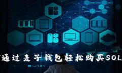 如何通过麦子钱包轻松购买SOL域名