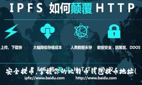 安全提币，掌握你的比特币钱包提币地址！