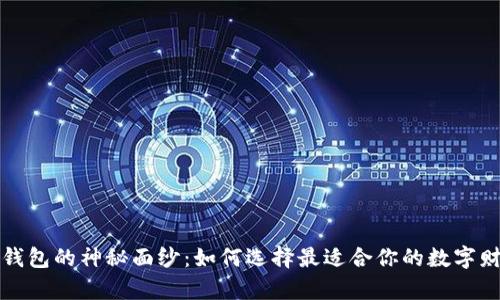 揭开比特币钱包的神秘面纱：如何选择最适合你的数字财富保护工具