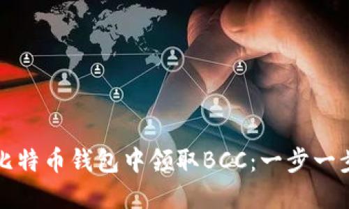 如何在比特币钱包中领取BCC：一步一步的指南