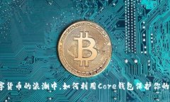 在数字货币的浪潮中，如何利用Core钱包保护你的